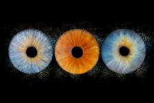 Gabriel JOANNAS - JOANNAS GABRIEL