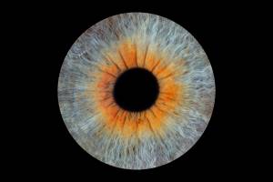 Maud et MARINE - Les bidons de lyon