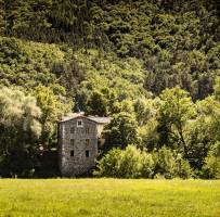 James ATKINS - 43MEDIA