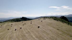 James ATKINS - 43MEDIA