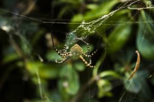 Marie-Emmanuelle DIOT LAPORTE - Memograph